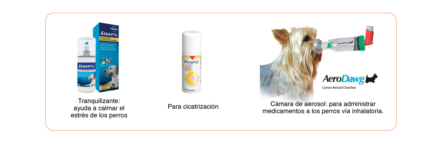 AeroDawg: Cámara Inhaladora para perros uso veterinario.