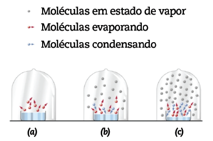 A-importancia-da-pressao-de-vapor-no-desempenho-de-um-aerosol-Figura-2