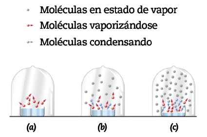 Importancia-de-la-presion-de-vapor-en-el-desempeno-de-un-aerosol-Figura-2