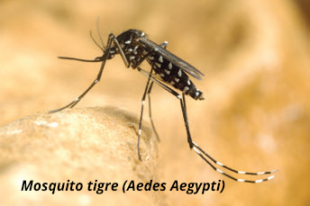 Insecticidas-Combate_4