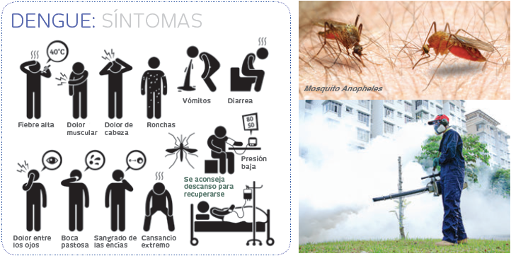 Insecticidas-Combate_5_Dengue_Sintomas